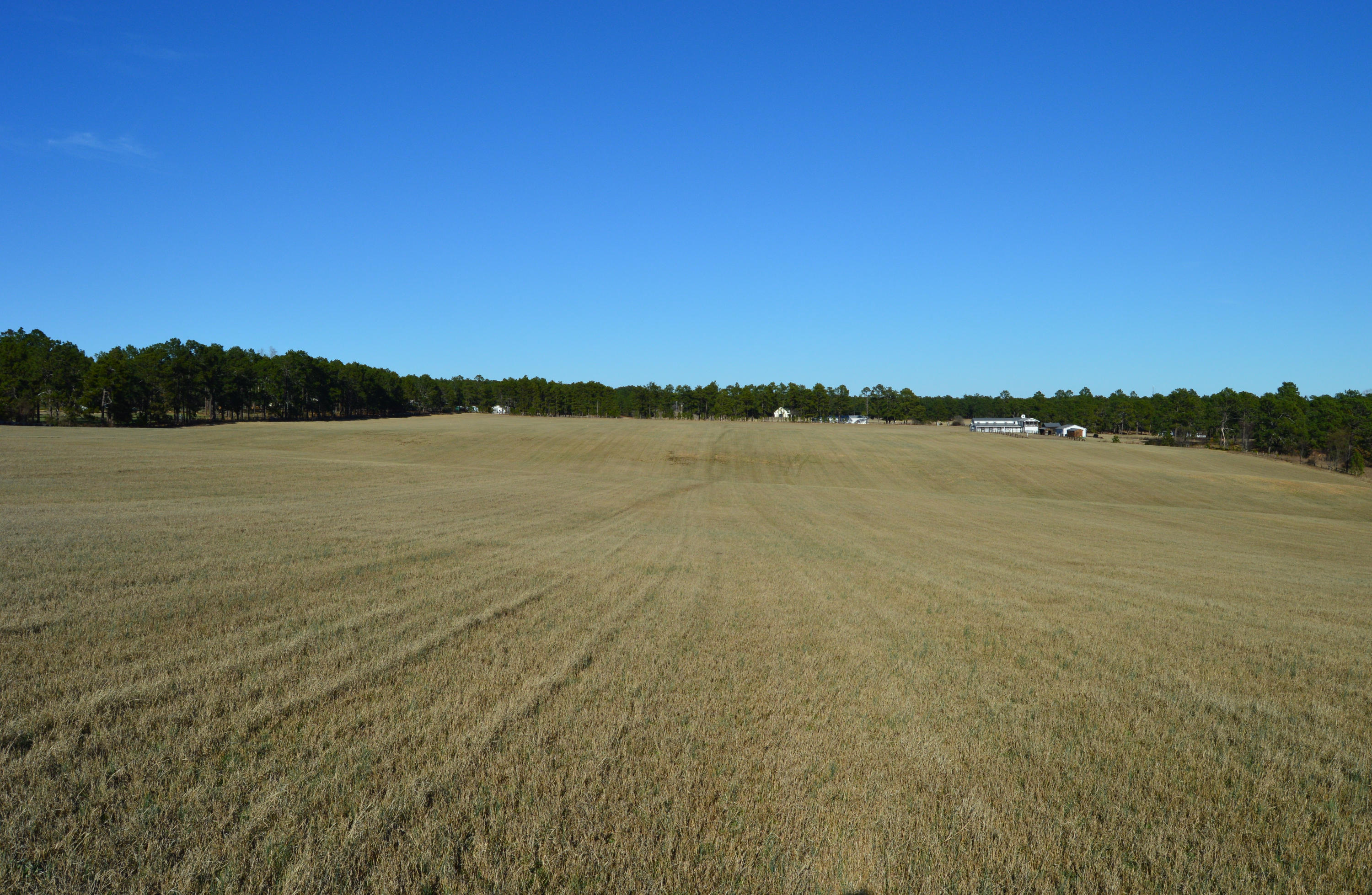 Lot 4 Battlewick Road Southern Pines, NC 28387 - Photo 14 of 19 DSC_0049