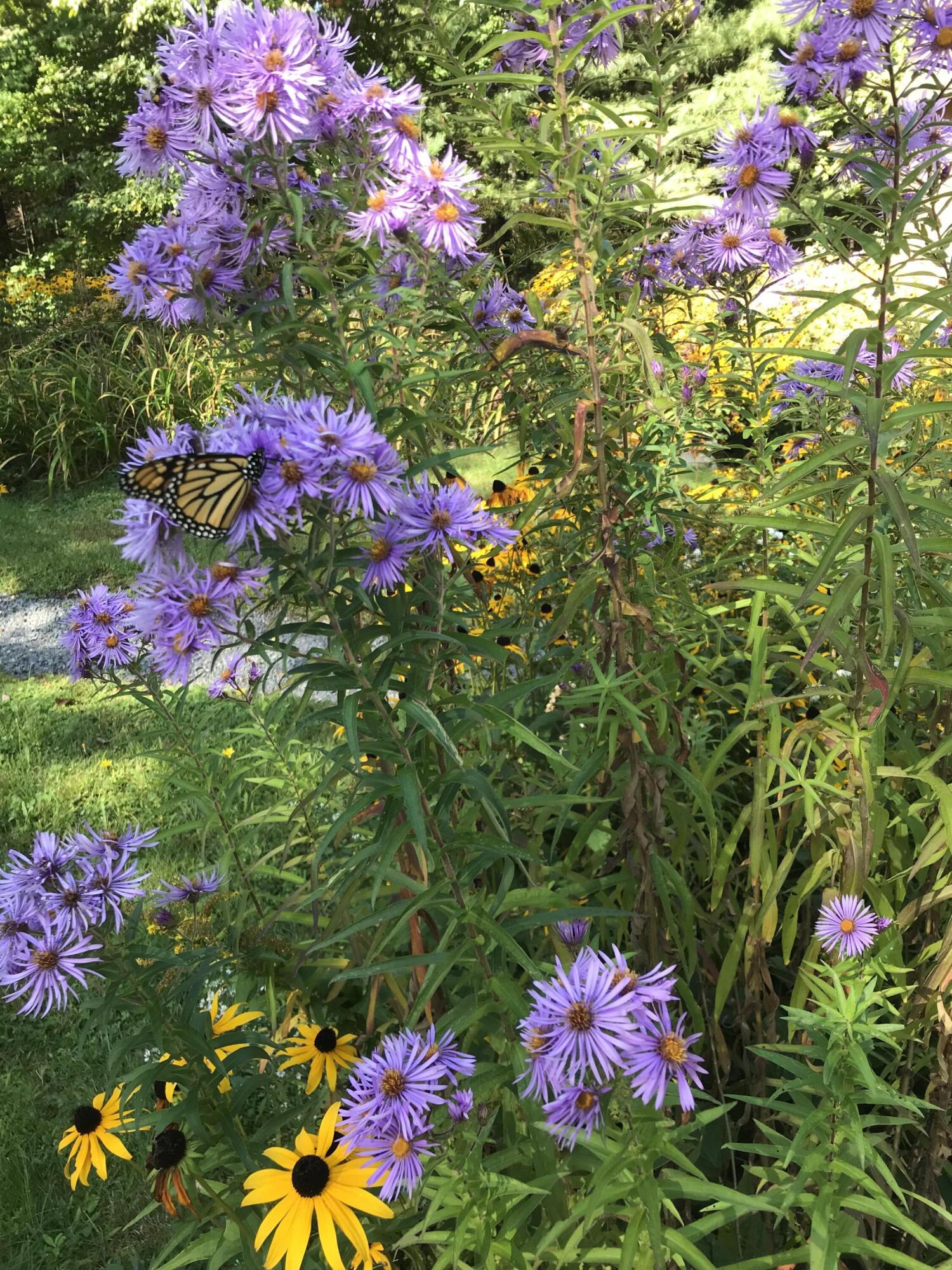 260 Coombs Road Brunswick, ME 04011 - Photo 11 of 94 IMG_2113