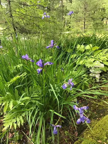 $529,000 | 260 Coombs Road, Brunswick, ME 04011