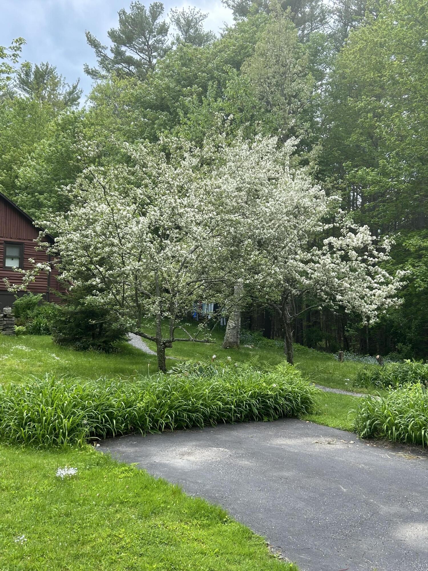 260 Coombs Road Brunswick, ME 04011 - Photo 2 of 94 IMG_7398