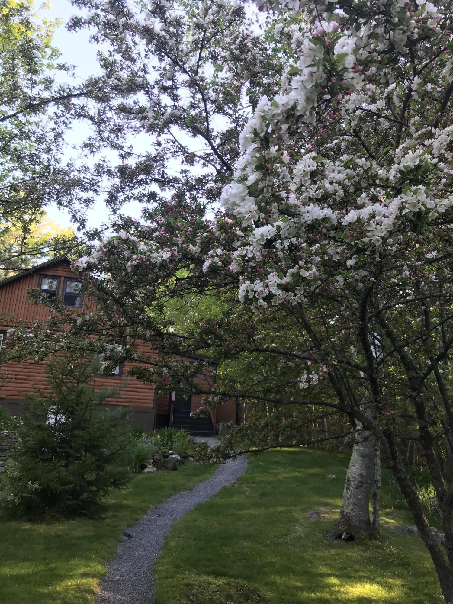 260 Coombs Road Brunswick, ME 04011 - Photo 3 of 94 IMG_2819