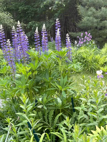 $529,000 | 260 Coombs Road, Brunswick, ME 04011