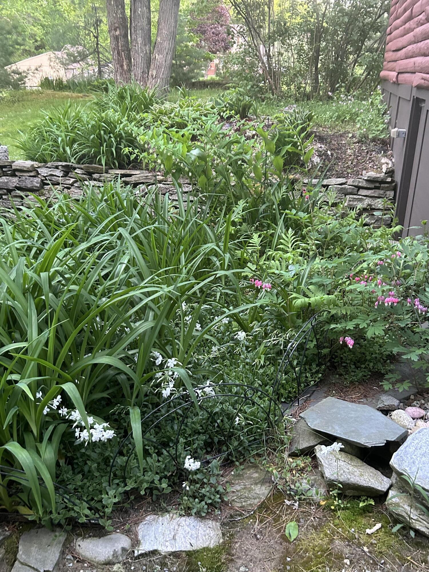 260 Coombs Road Brunswick, ME 04011 - Photo 5 of 94 IMG_7402