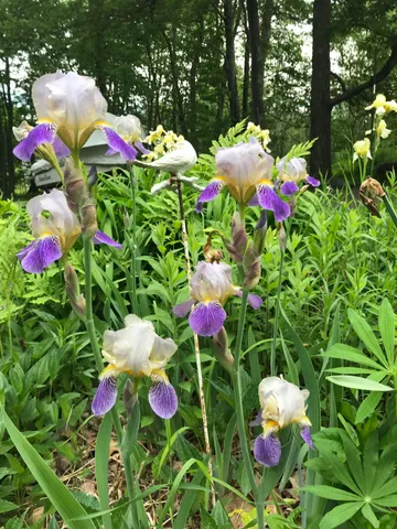 $529,000 | 260 Coombs Road, Brunswick, ME 04011