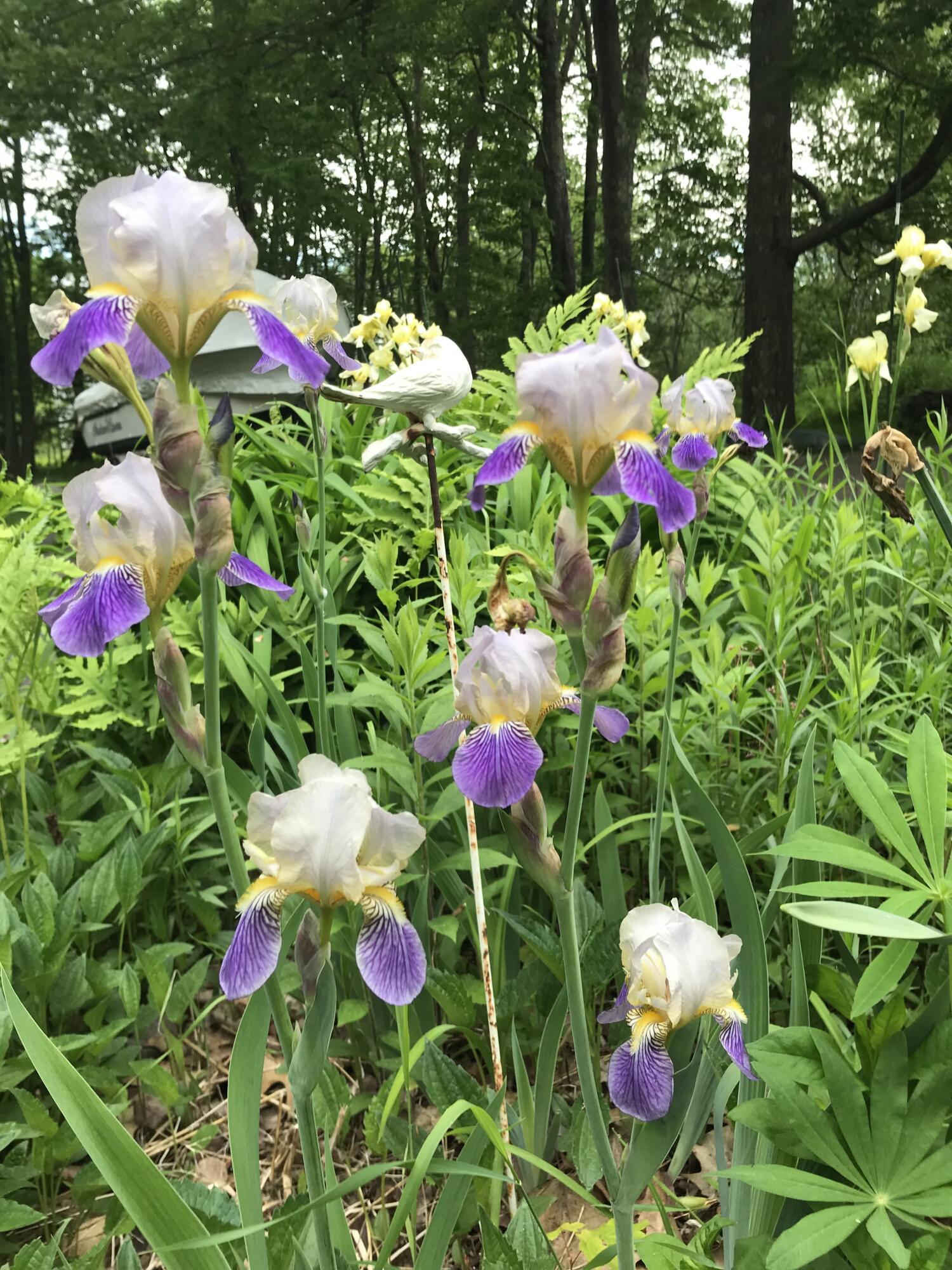 260 Coombs Road Brunswick, ME 04011 - Photo 8 of 94 IMG_1452