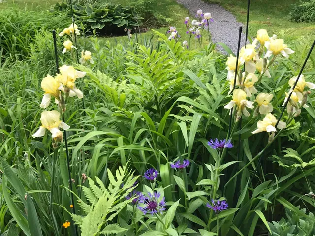 $529,000 | 260 Coombs Road, Brunswick, ME 04011