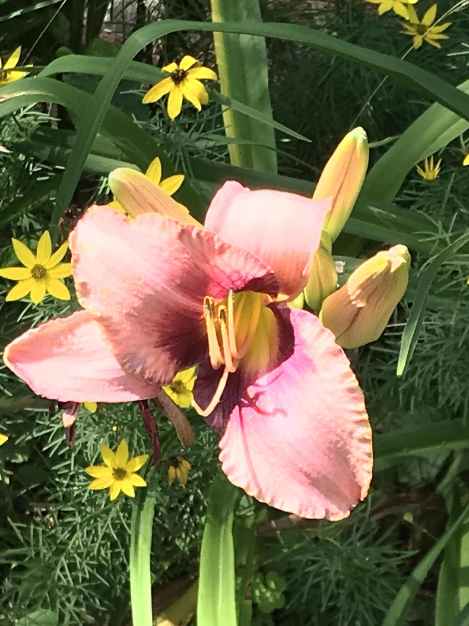 260 Coombs Road Brunswick, ME 04011 - Photo 10 of 94 IMG_1901