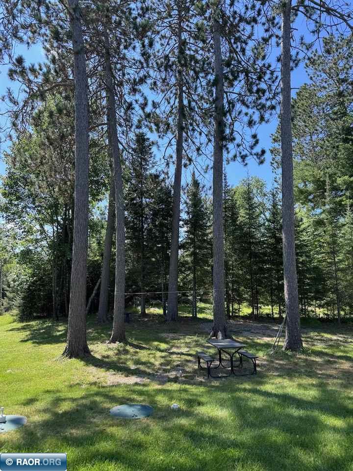 2964 Chaps Road Cook, MN 55723 - Photo 29 of 29