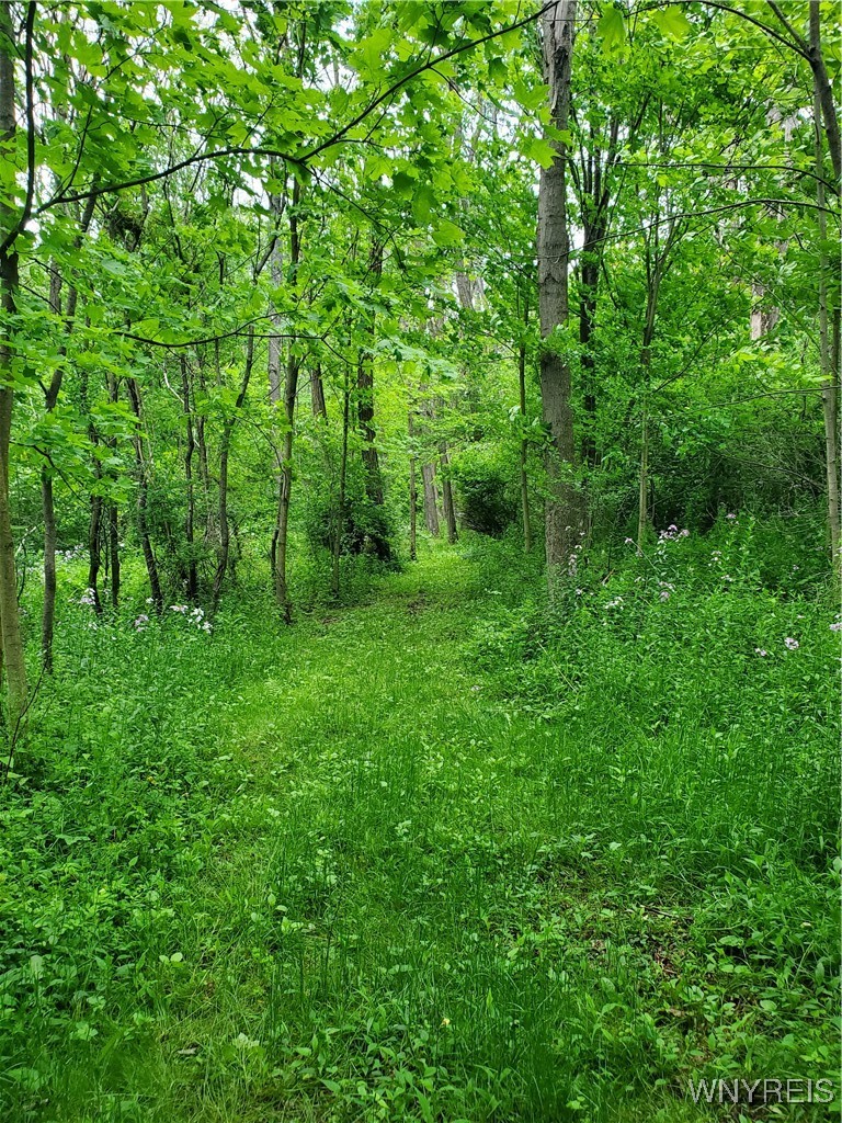 7200 Kent Road Little Valley, NY 14755 - Photo 21 of 43