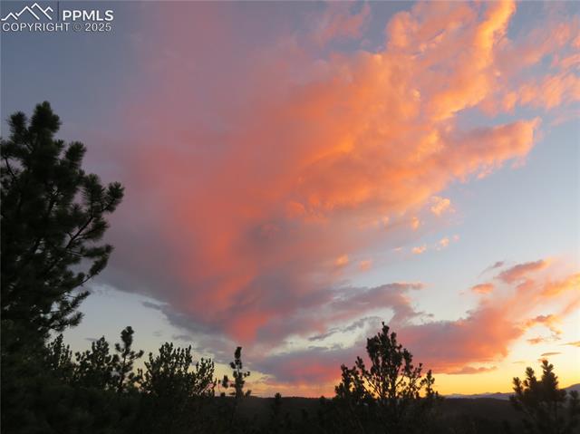 337 Blue Spruce Road Divide, CO 80814 - Photo 26 of 39 Sunset