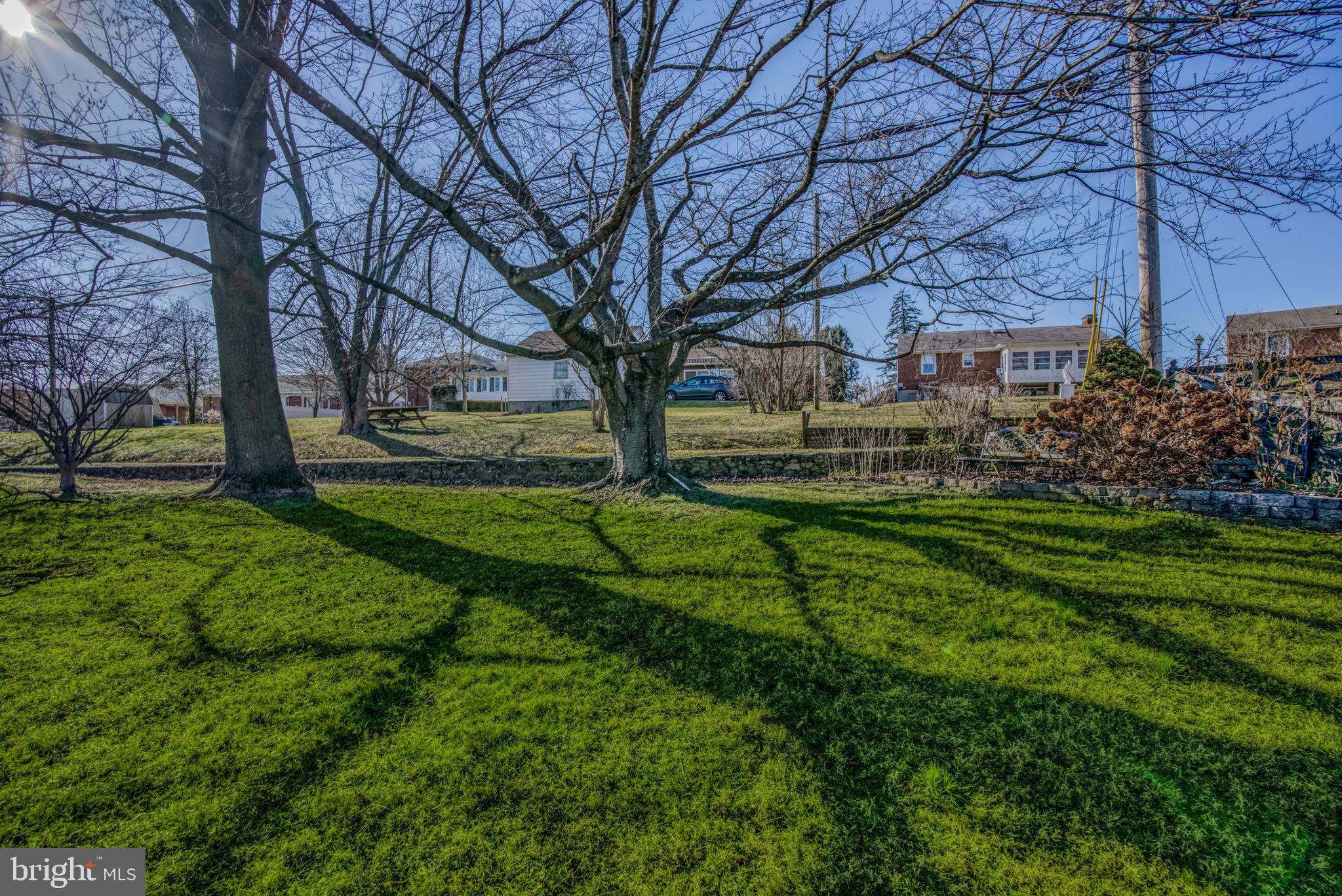 1305 Glendale Road Baltimore, MD 21239 - Photo 44 of 49 a view of a yard with plants and large trees