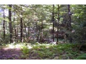 24-201 Murphy Road Peterborough, NH 03458 - Photo 6 of 7
