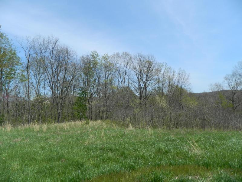 35707 R R Halliday Road Langsville, OH 45741 - Photo 17 of 23