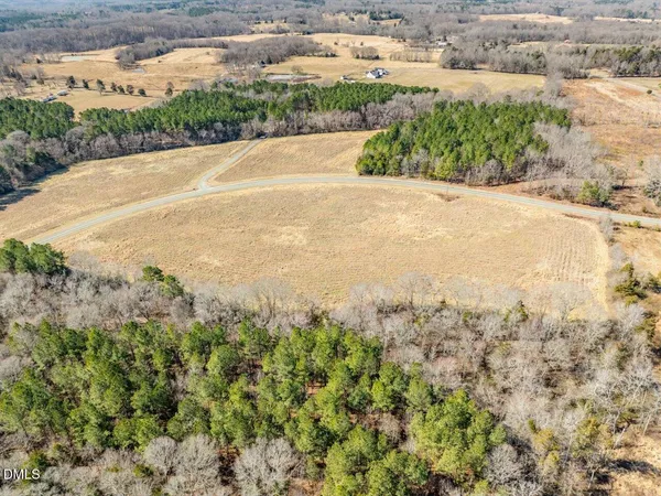 a view of a dry yard