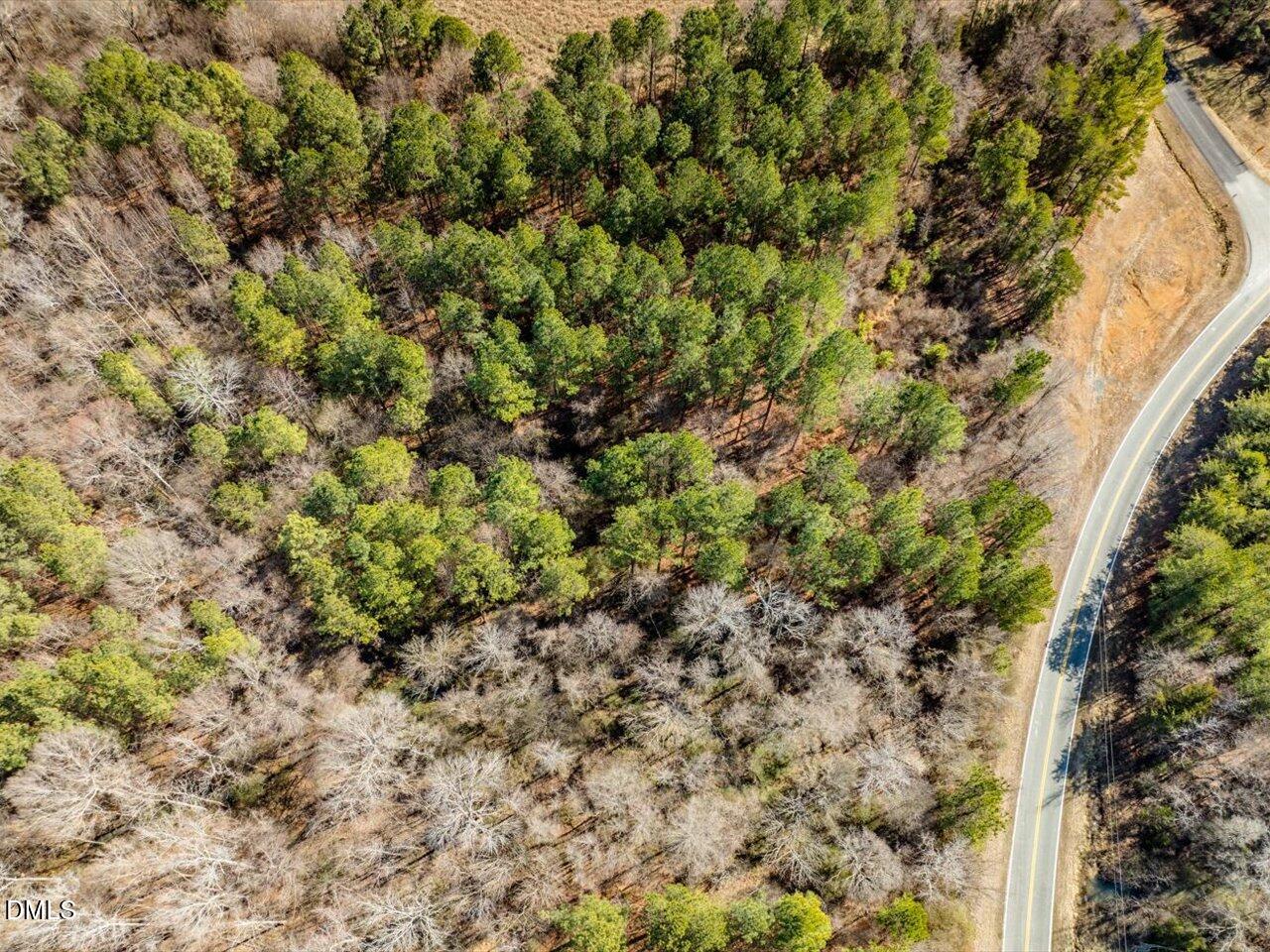 0 Mark Willett Road Bear Creek, NC 27207 - Photo 15 of 28 a view of a yard with a tree