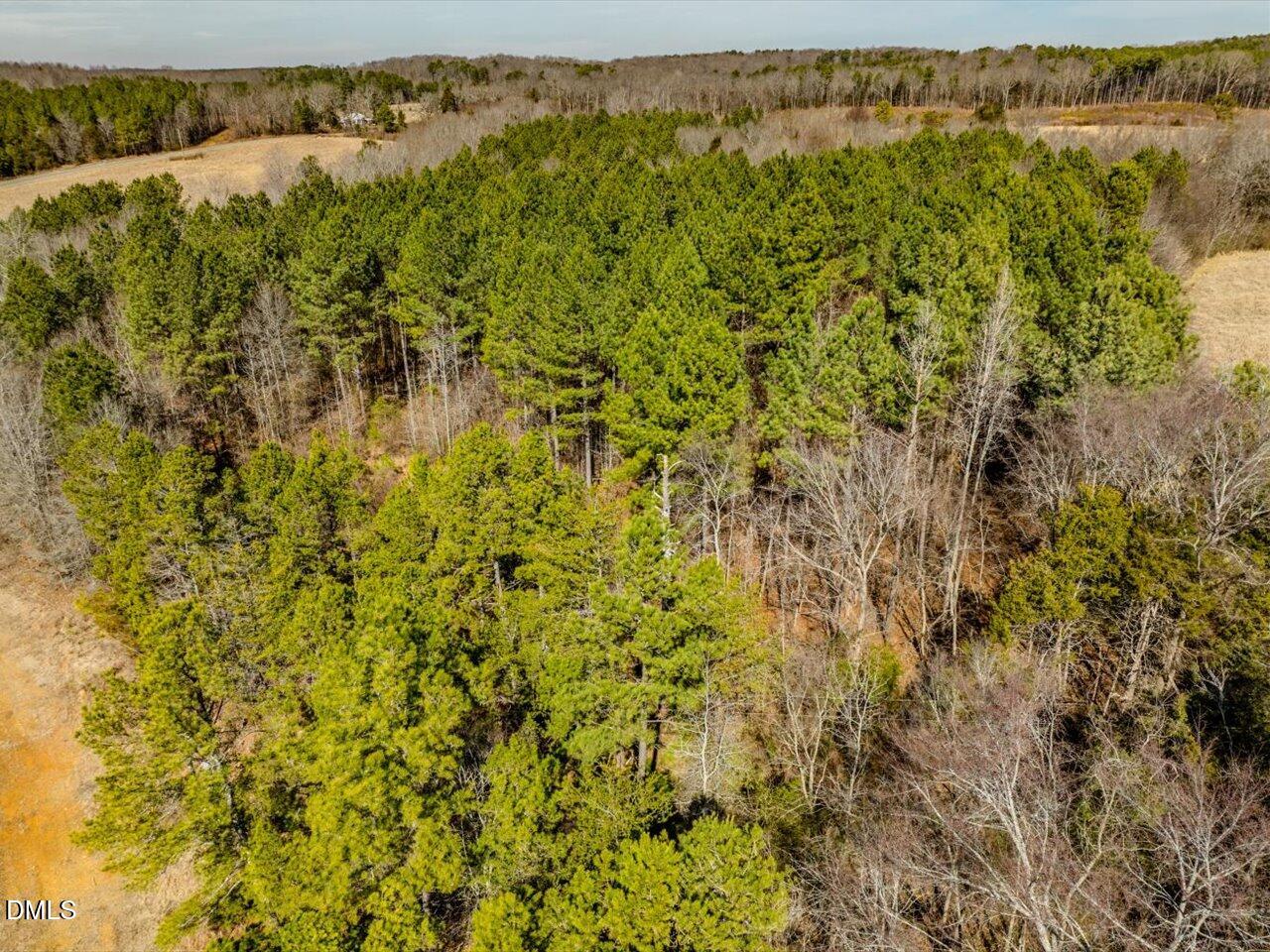 0 Mark Willett Road Bear Creek, NC 27207 - Photo 20 of 28 a view of outdoor space and trees