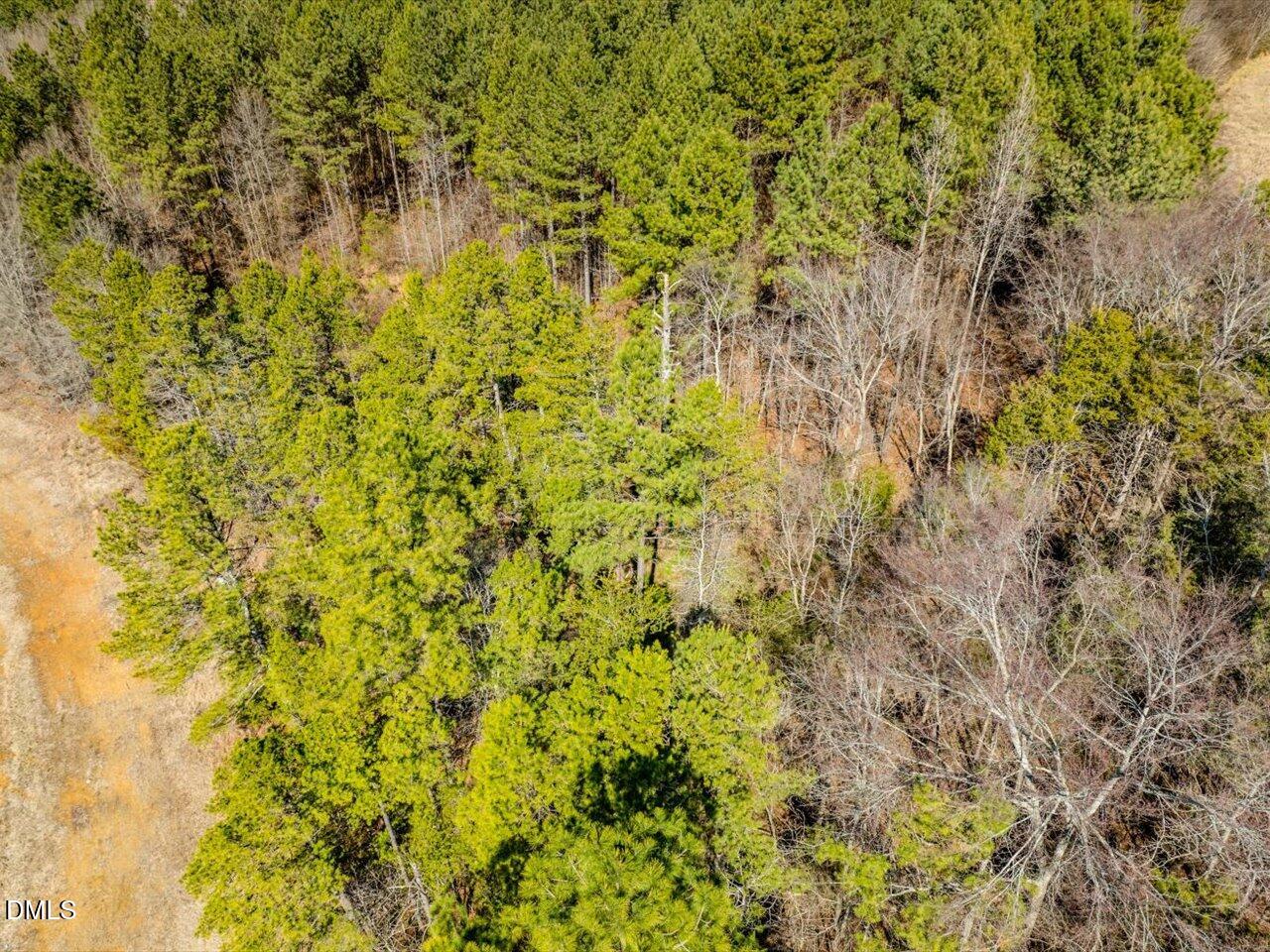 0 Mark Willett Road Bear Creek, NC 27207 - Photo 21 of 28 a view of a yard with a tree