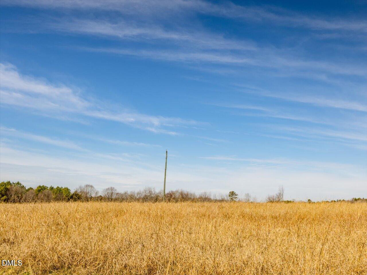 0 Mark Willett Road Bear Creek, NC 27207 - Photo 25 of 28 a view of an ocean