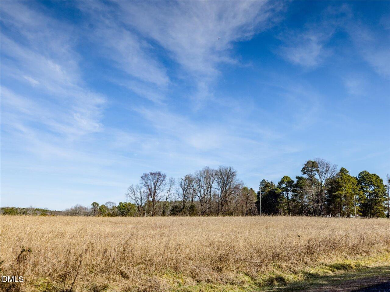 0 Mark Willett Road Bear Creek, NC 27207 - Photo 26 of 28