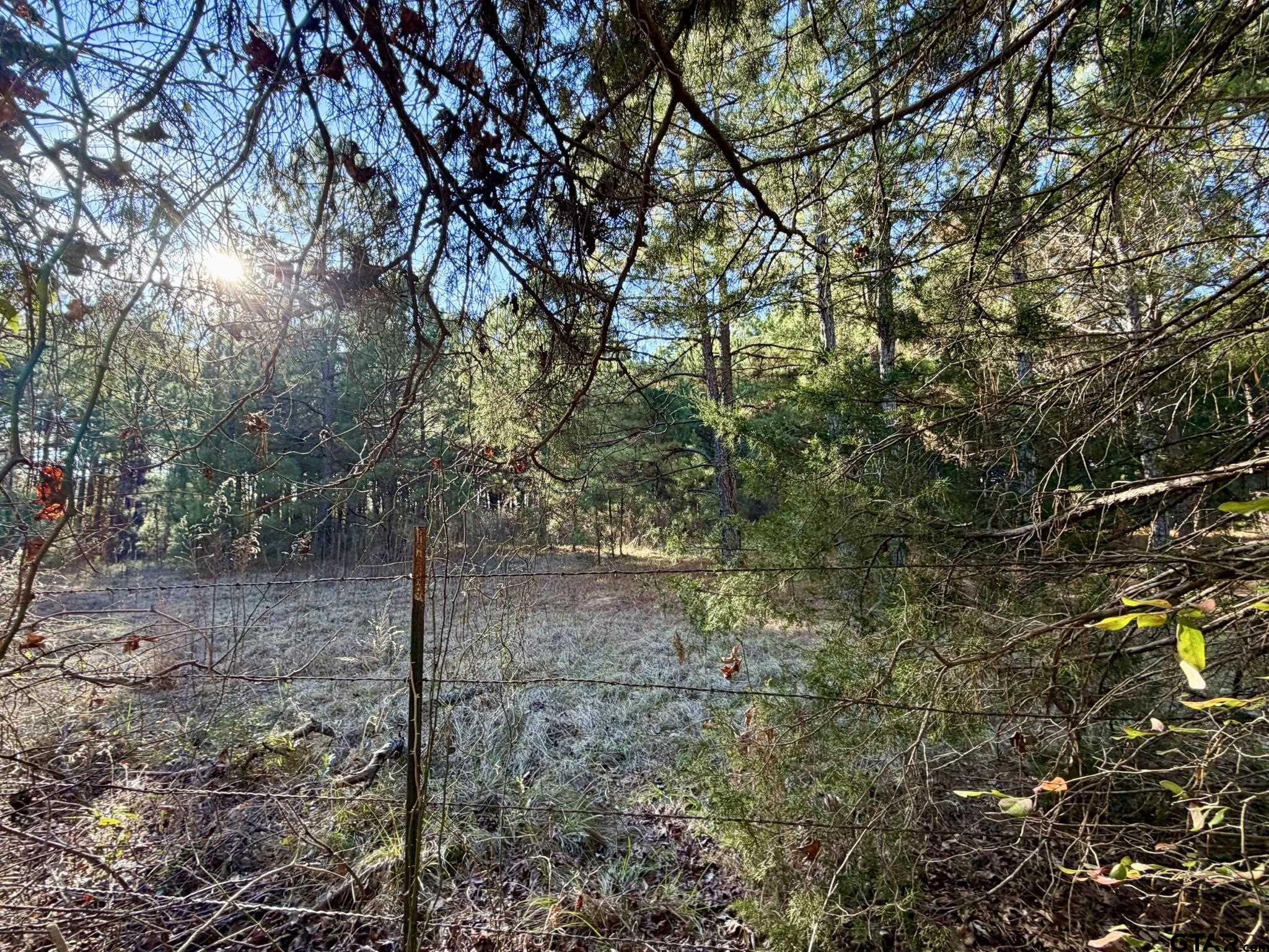 0 Brad Spann Road Waskom, TX 75692 - Photo 5 of 5 a view of forest