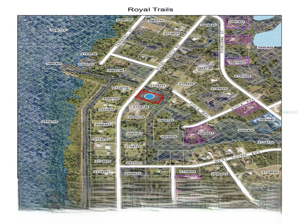 Royal Trails Road Eustis, FL 32736 - Photo 2 of 8