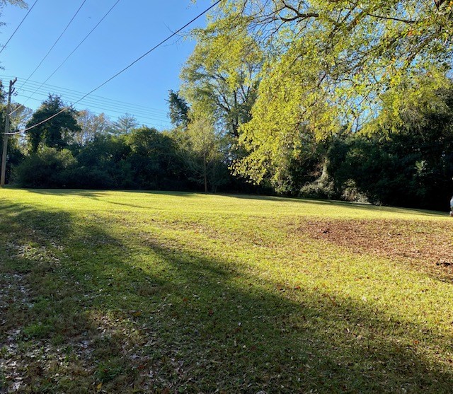 214 Pendleton Road Clemson, SC 29631 - Photo 4 of 26