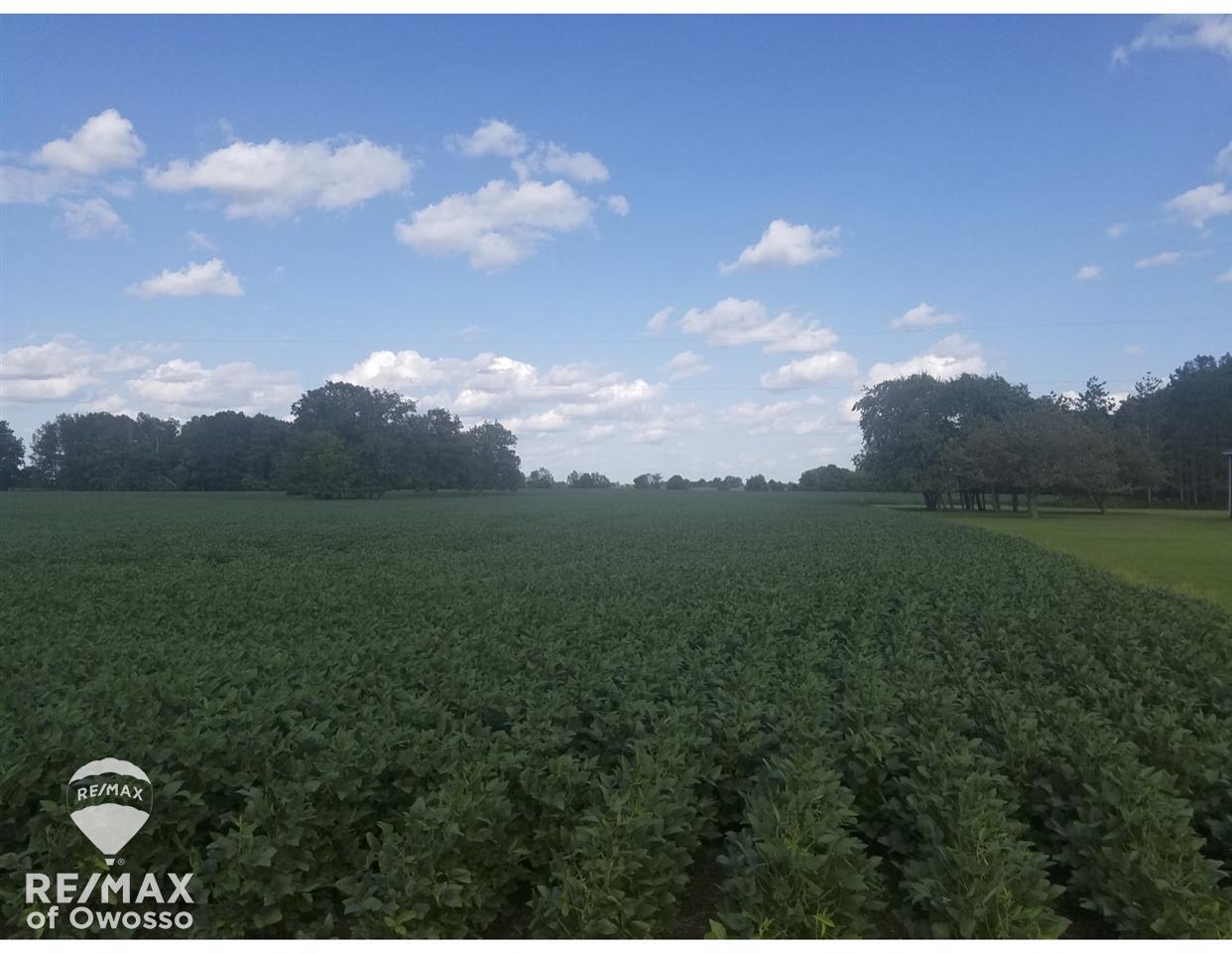 2150 McKay Road Corunna, MI 48817 - Photo 20 of 21 Gallery Image 20