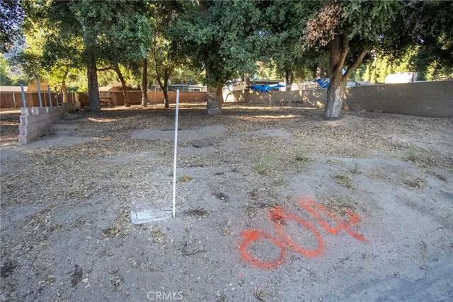 a view of a yard with tree s