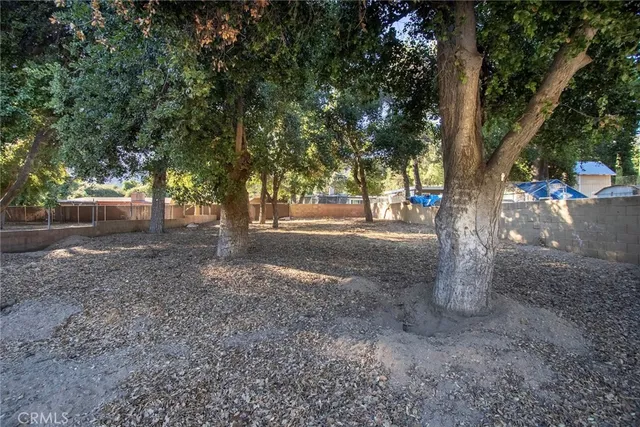 a view of a yard with tree s