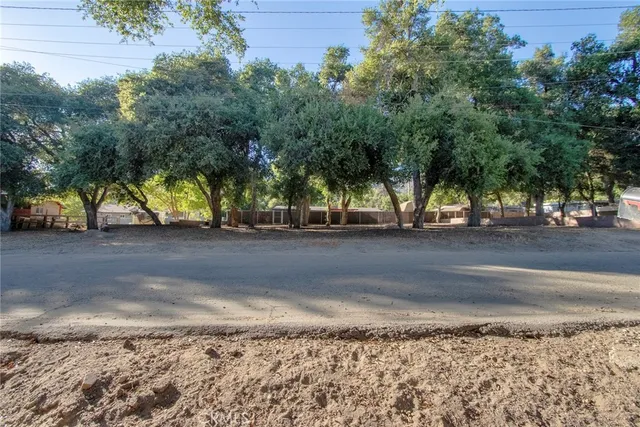 a view of a yard and a car parked on the road