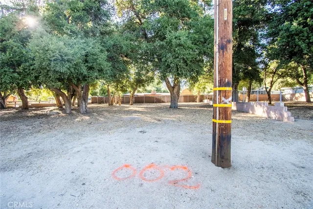 a view of road and trees
