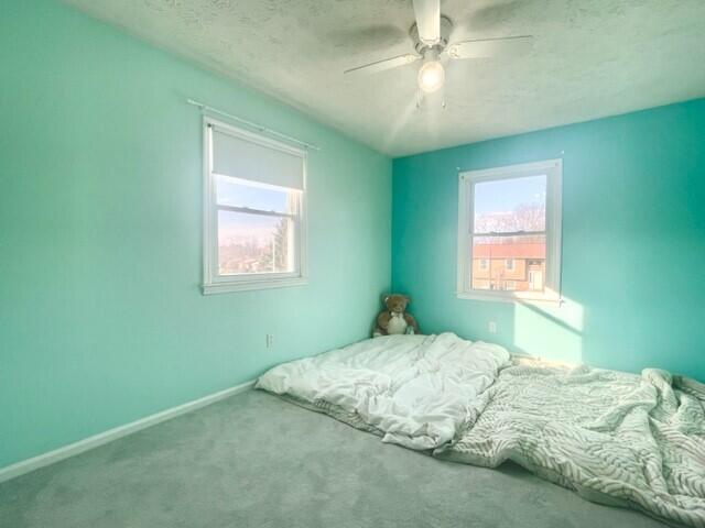 3392 Boston Road Lexington, KY 40503 - Photo 7 of 22 BR5