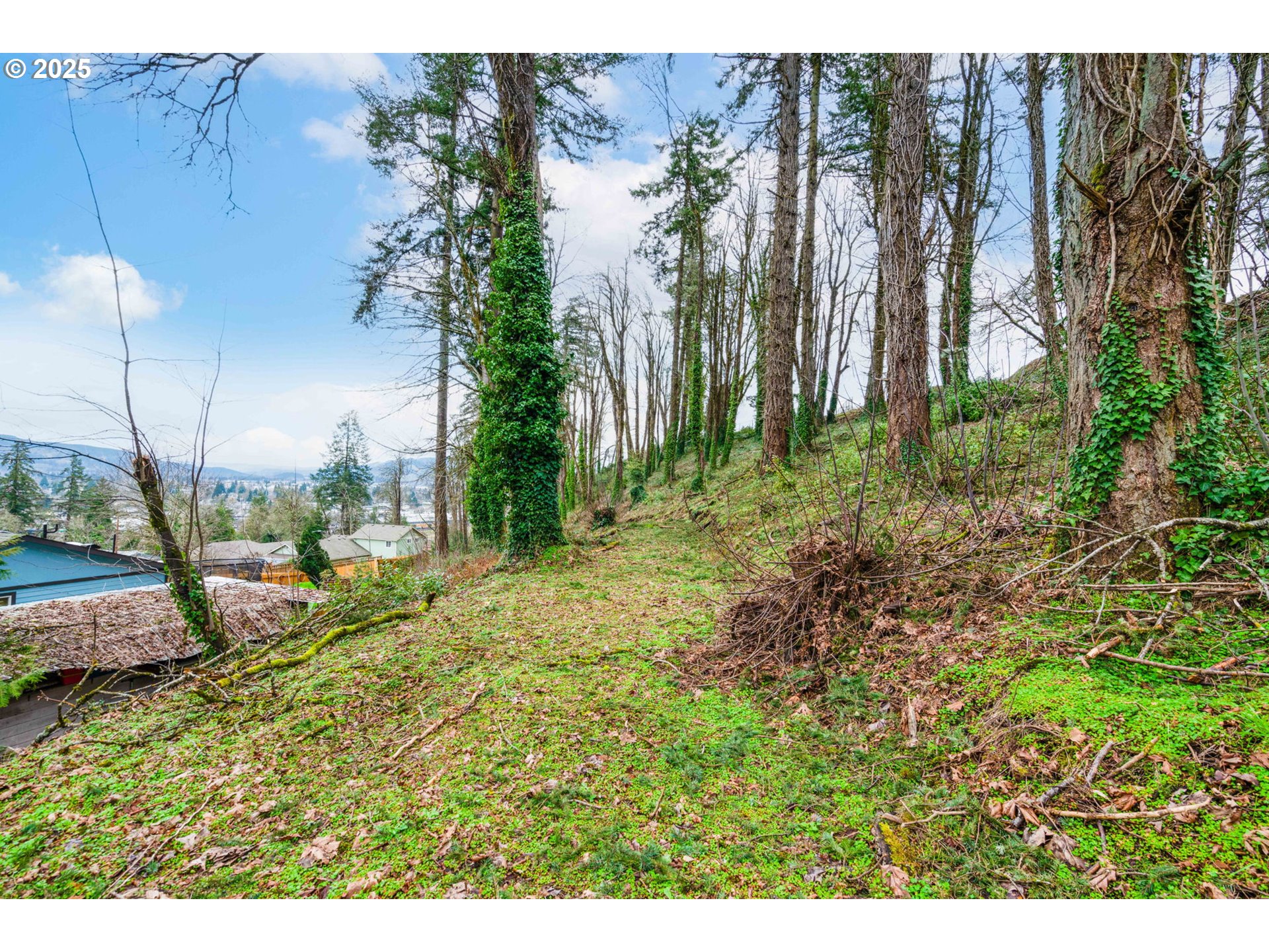 540 South 6th Street Springfield, OR 97477 - Photo 4 of 16