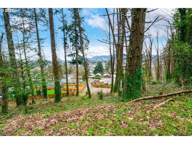 $85,000 | 540 South 6th Street, Springfield, OR 97477