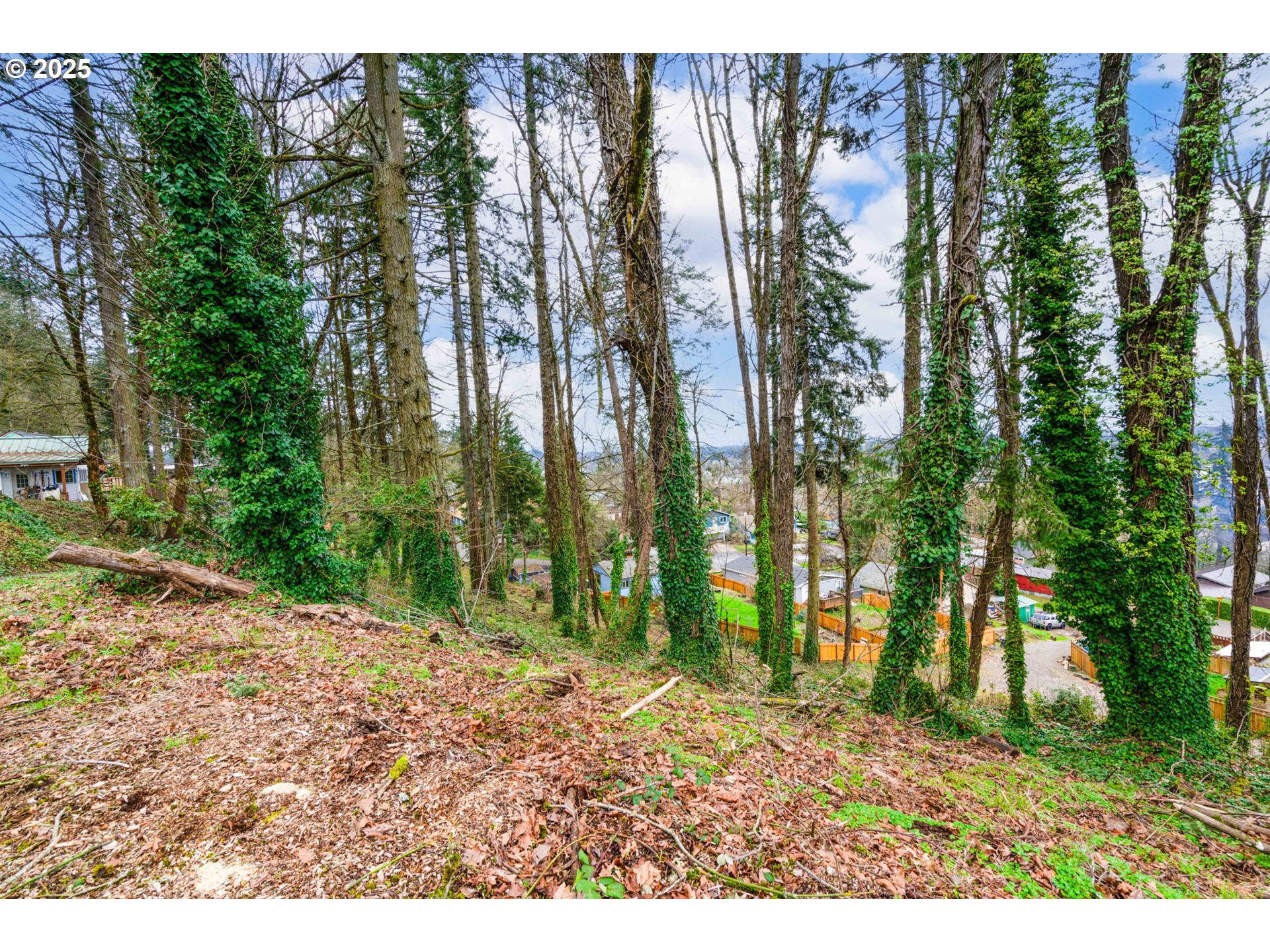 540 South 6th Street Springfield, OR 97477 - Photo 6 of 16