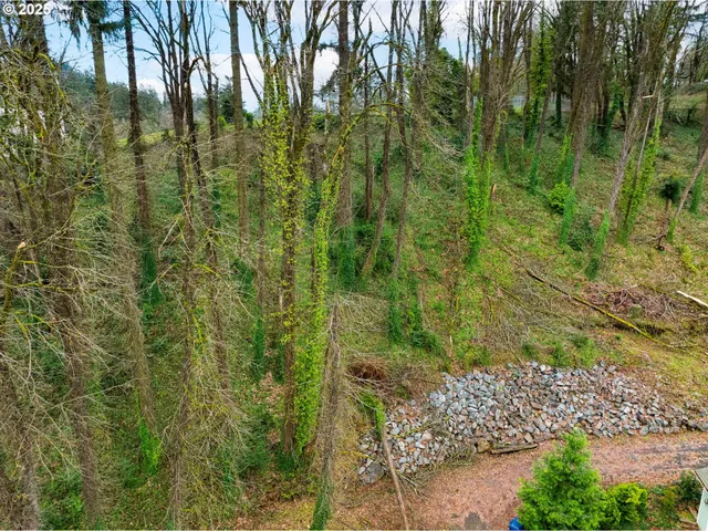 $85,000 | 540 South 6th Street, Springfield, OR 97477