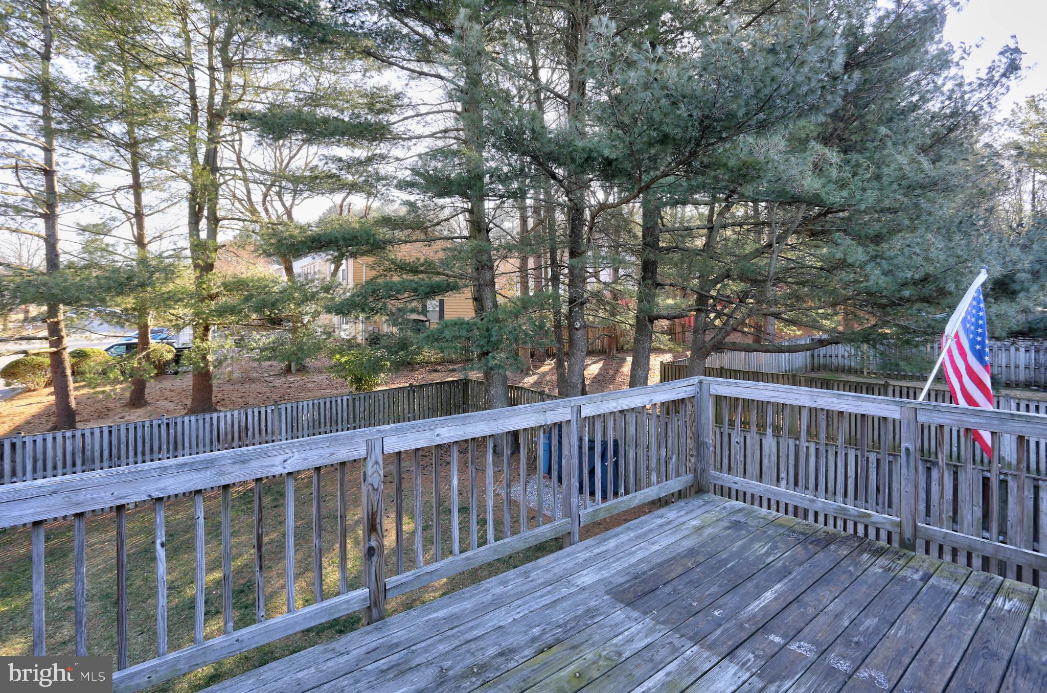 1159 Greenhill Road Arnold, MD 21012 - Photo 25 of 41 Serene backyard retreat with American flag.