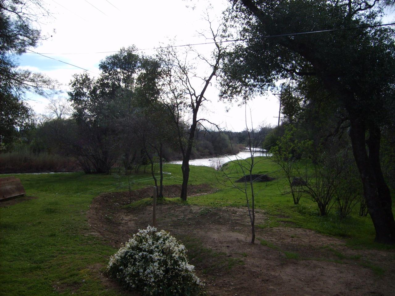 9526 Silver Bridge Road Palo Cedro, CA 96073 - Photo 11 of 26 yard/creek