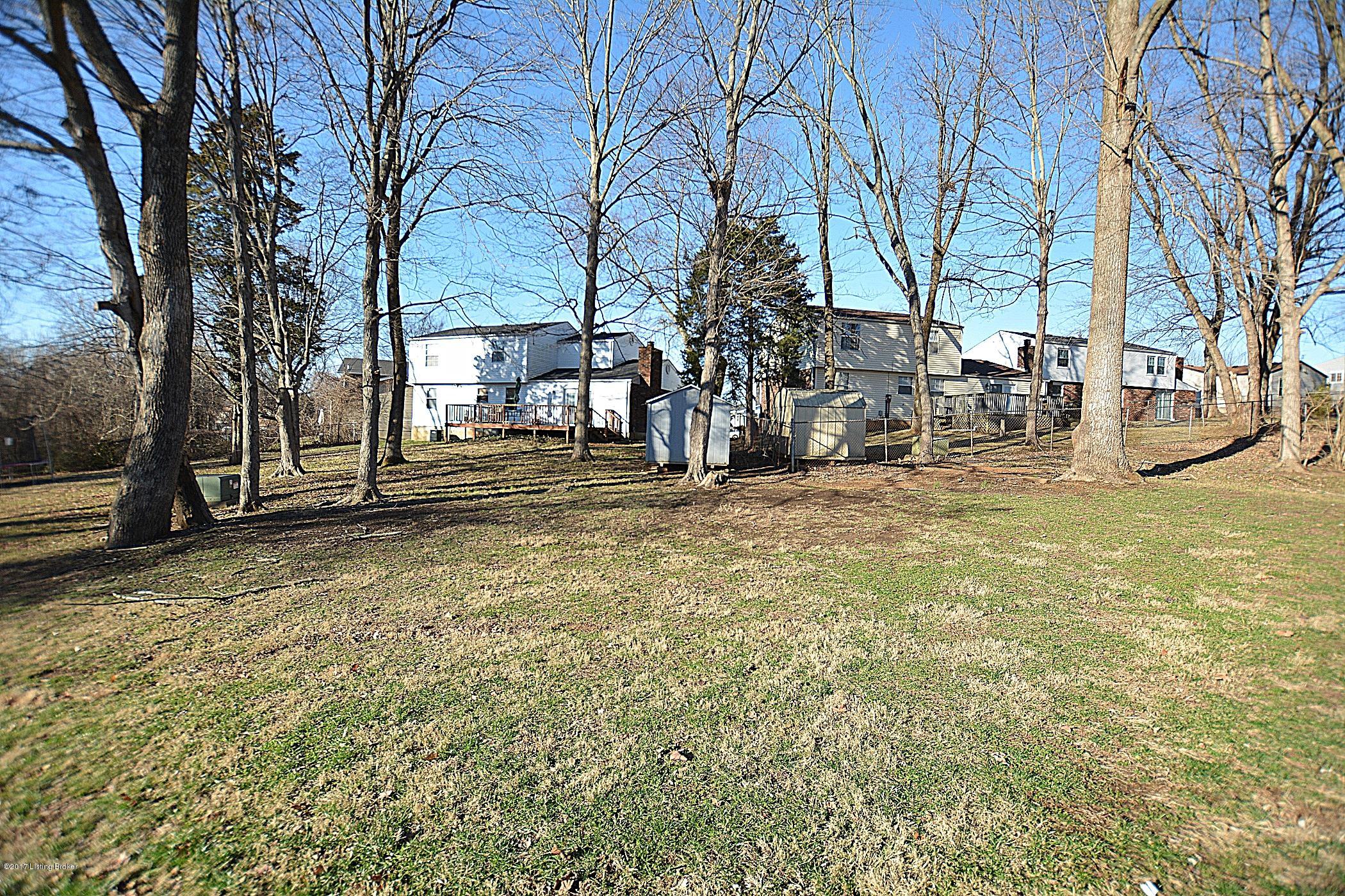 6303 Mandeville Road Louisville, KY 40228 - Photo 35 of 37 DSC_0073 (2100x1400)