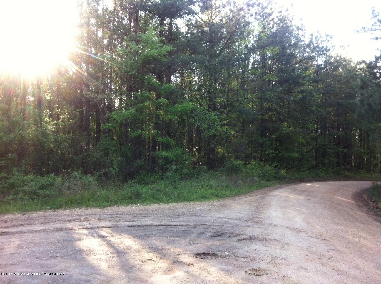630 Co Road Addison, AL 35540 - Photo 2 of 8 Gallery Image 2