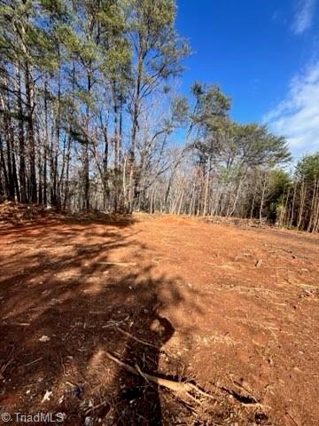 1506 McDaniel Road Pilot Mountain, NC 27041 - Photo 11 of 19