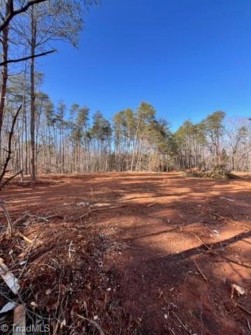 1506 McDaniel Road Pilot Mountain, NC 27041 - Photo 12 of 19
