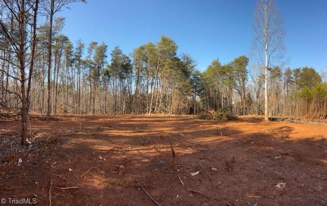 1506 McDaniel Road Pilot Mountain, NC 27041 - Photo 13 of 19