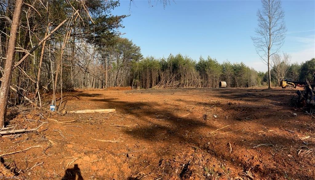 1506 McDaniel Road Pilot Mountain, NC 27041 - Photo 15 of 19