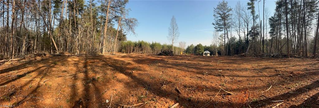 1506 McDaniel Road Pilot Mountain, NC 27041 - Photo 16 of 19