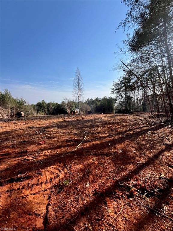 1506 McDaniel Road Pilot Mountain, NC 27041 - Photo 18 of 19