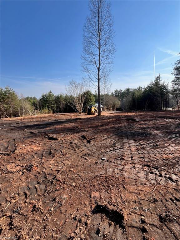 1506 McDaniel Road Pilot Mountain, NC 27041 - Photo 19 of 19