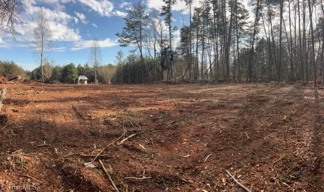 1506 McDaniel Road Pilot Mountain, NC 27041 - Photo 2 of 19