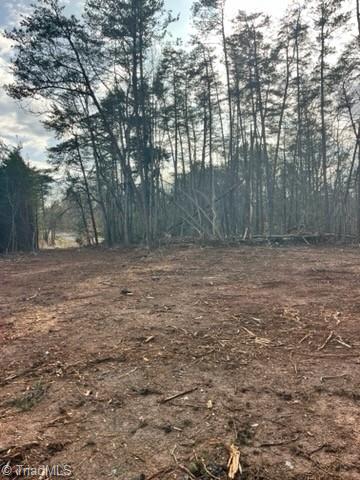 1506 McDaniel Road Pilot Mountain, NC 27041 - Photo 3 of 19