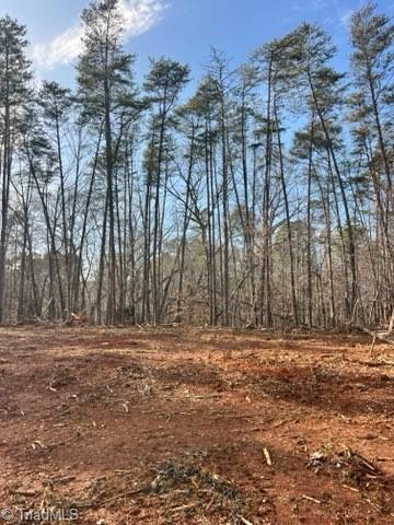 1506 McDaniel Road Pilot Mountain, NC 27041 - Photo 4 of 19